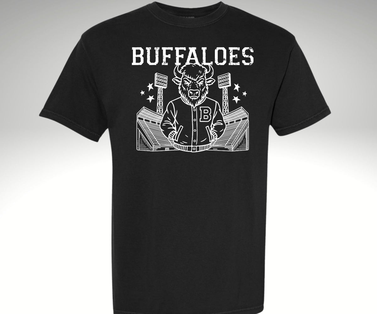 Stadium Buffalo