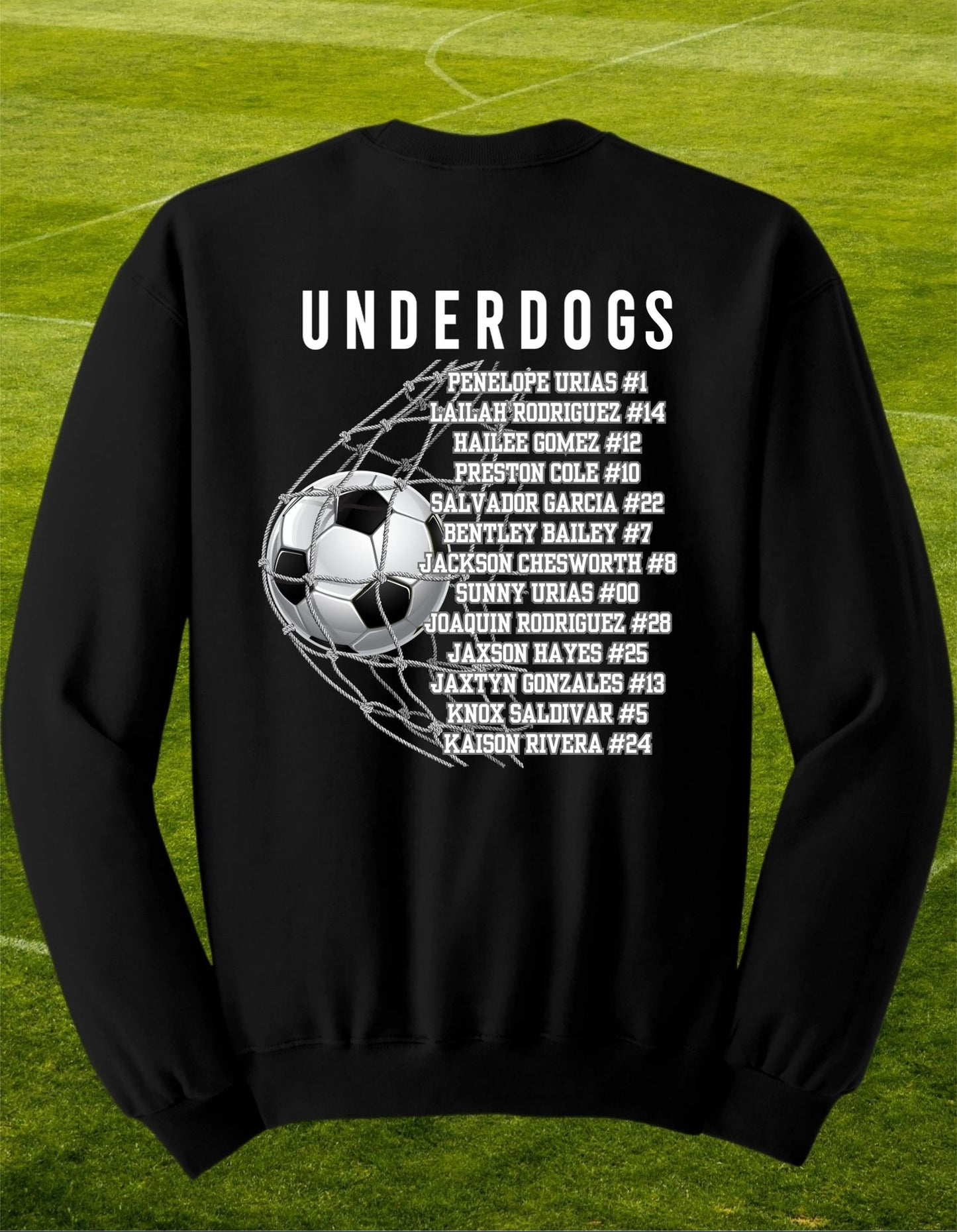 Underdogs Crewneck