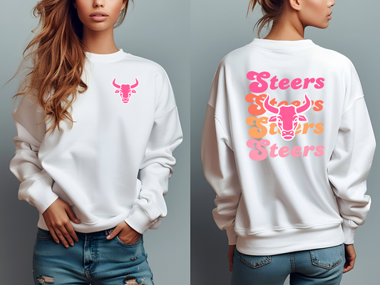Steer colorful sweatshirt
