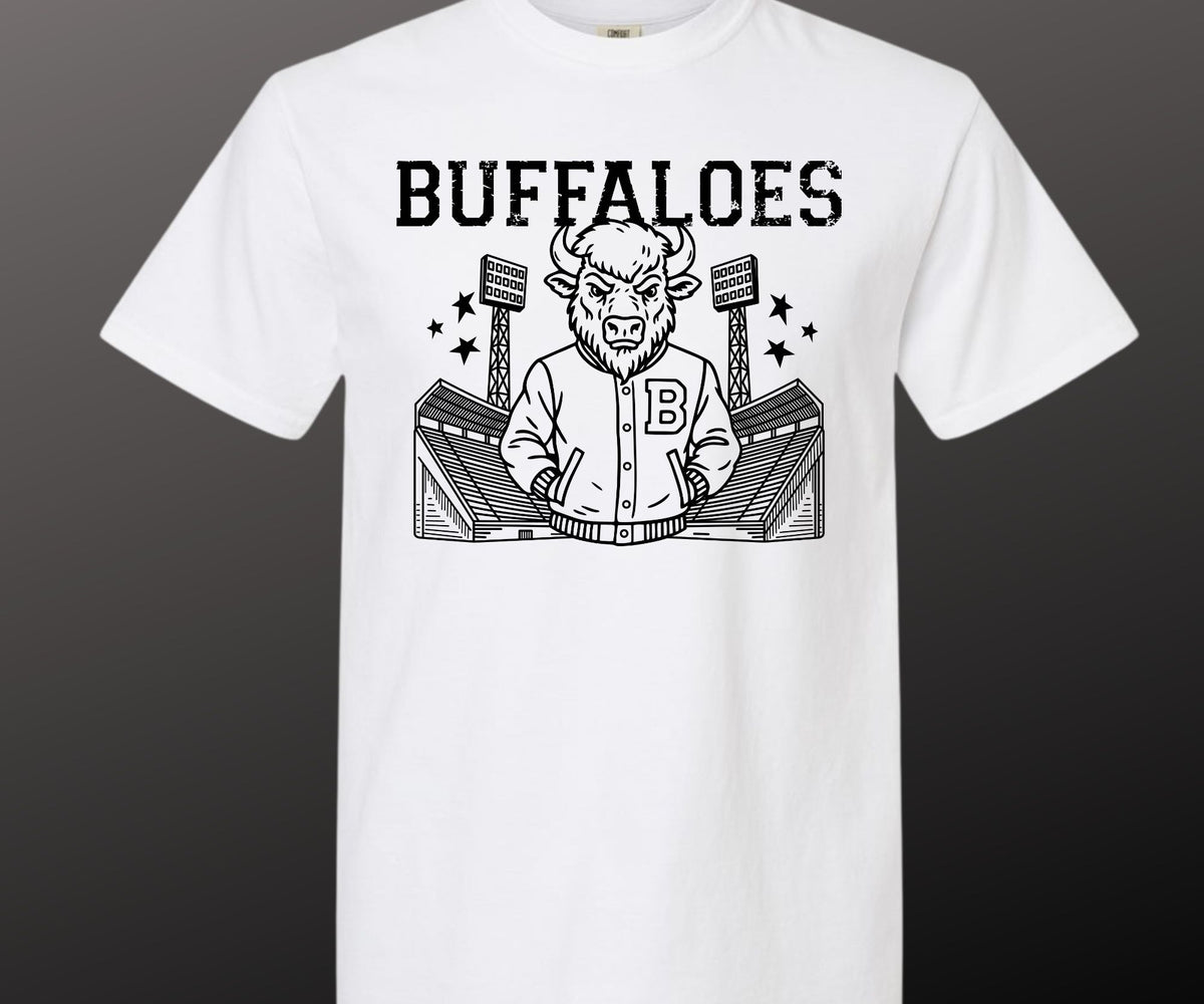 Stadium Buffalo