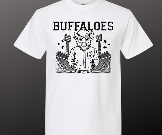 Stadium Buffalo
