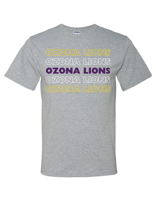 Stacked Ozona Lions tee